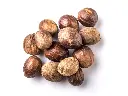 Nutmeg "Rempah2" Indonesia Best Premium Spice, in Shell, whole, Raw Food Quality, 250g